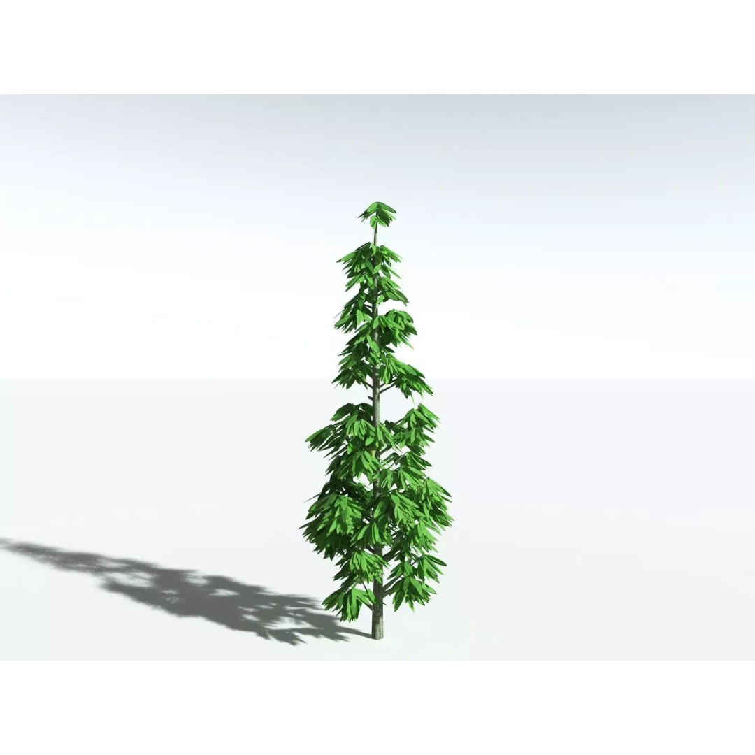 Cordaites Ludlowi 3D Model – High Poly Extinct Plant Asset, FBX - View 31