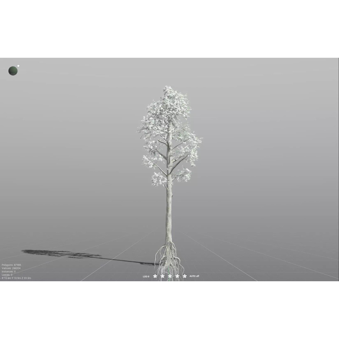 Cordaites Ludlowi 3D Model – High Poly Extinct Plant Asset, FBX - View 34