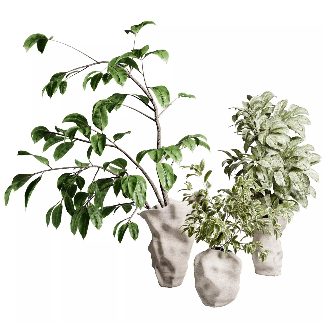 Branches Plant 3D Model – Brown Concrete Vase, PBR Textured - View 2