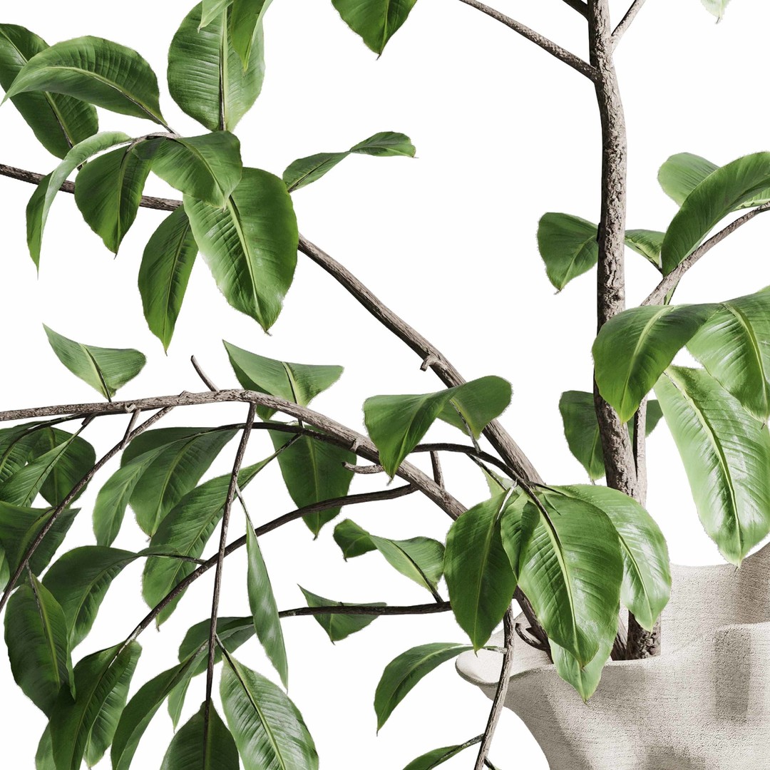 Branches Plant 3D Model – Brown Concrete Vase, PBR Textured - View 4