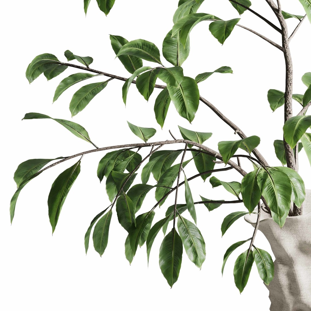 Branches Plant 3D Model – Brown Concrete Vase, PBR Textured - View 5