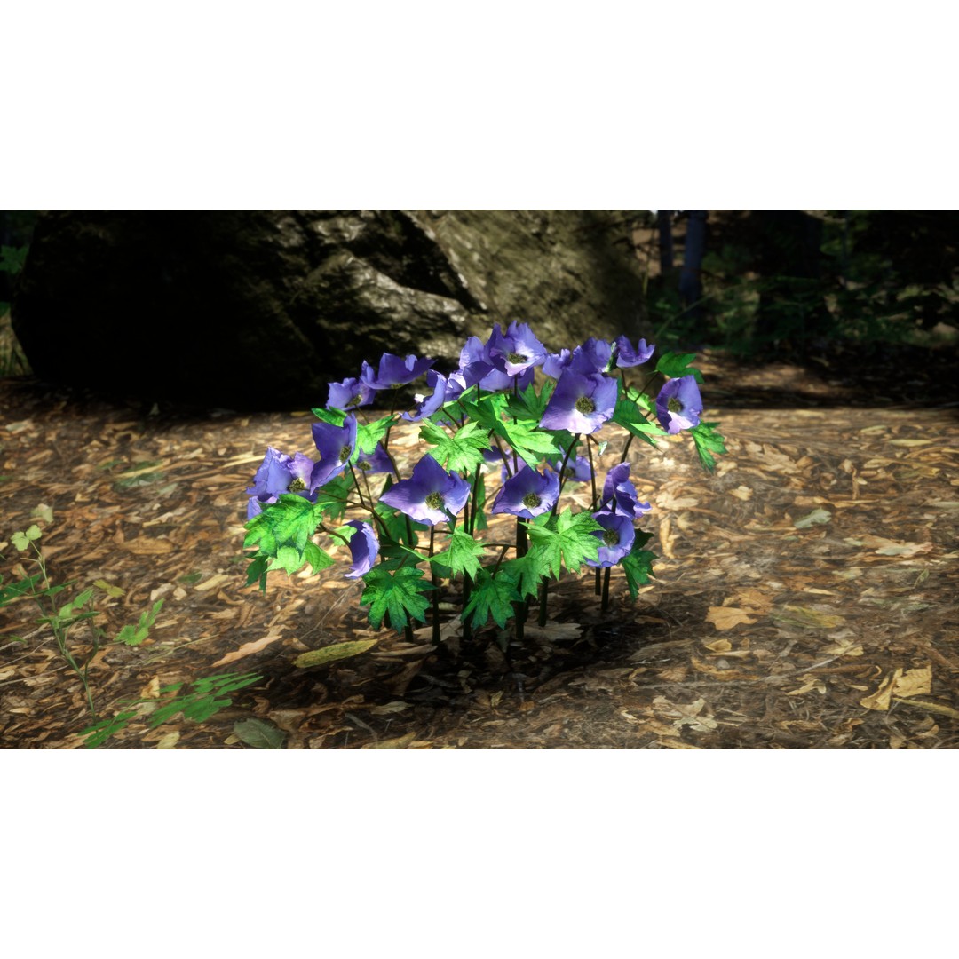 Wood Poppy Flower Tree 3D Model – Low Poly PBR Plant Asset, FBX, OBJ - View 3