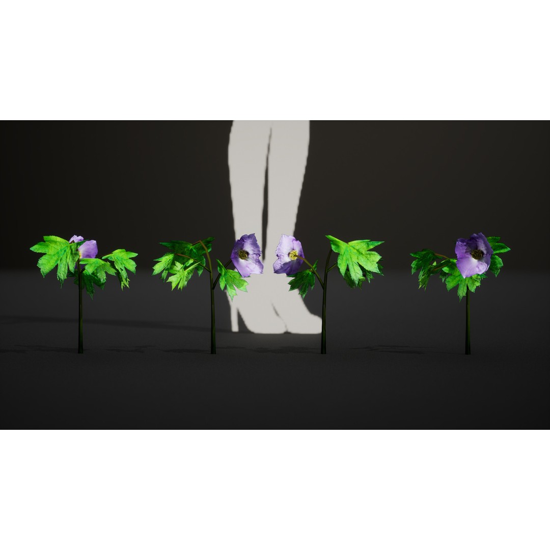 Wood Poppy Flower Tree 3D Model – Low Poly PBR Plant Asset, FBX, OBJ - View 6