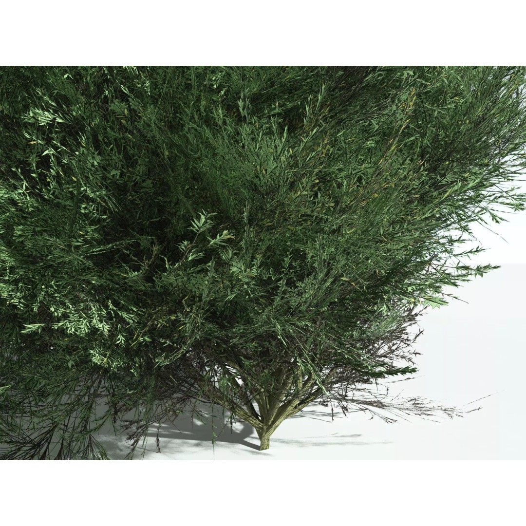 Green Rabbitbrush 3D Model – Low Poly Plant Asset, FBX, PBR - View 11