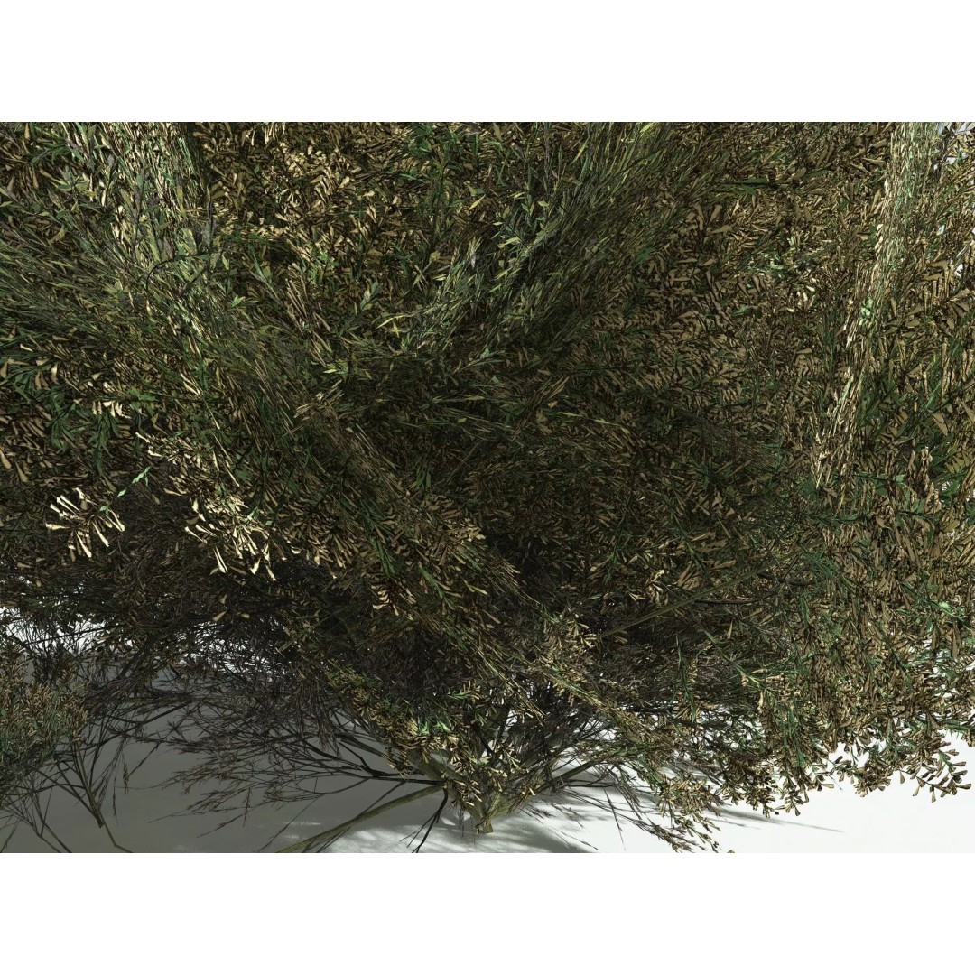 Green Rabbitbrush 3D Model – Low Poly Plant Asset, FBX, PBR - View 13