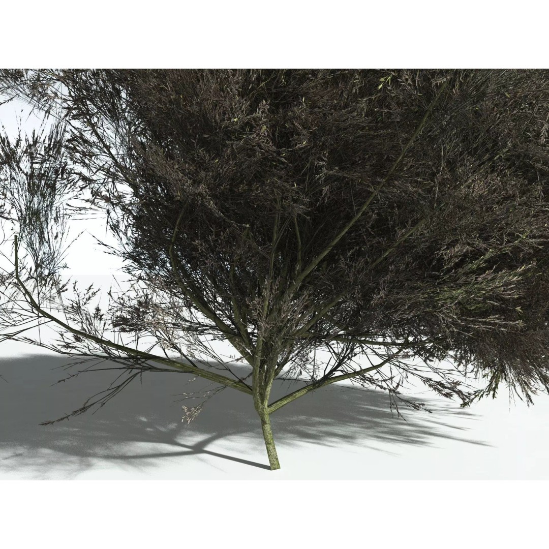 Green Rabbitbrush 3D Model – Low Poly Plant Asset, FBX, PBR - View 15