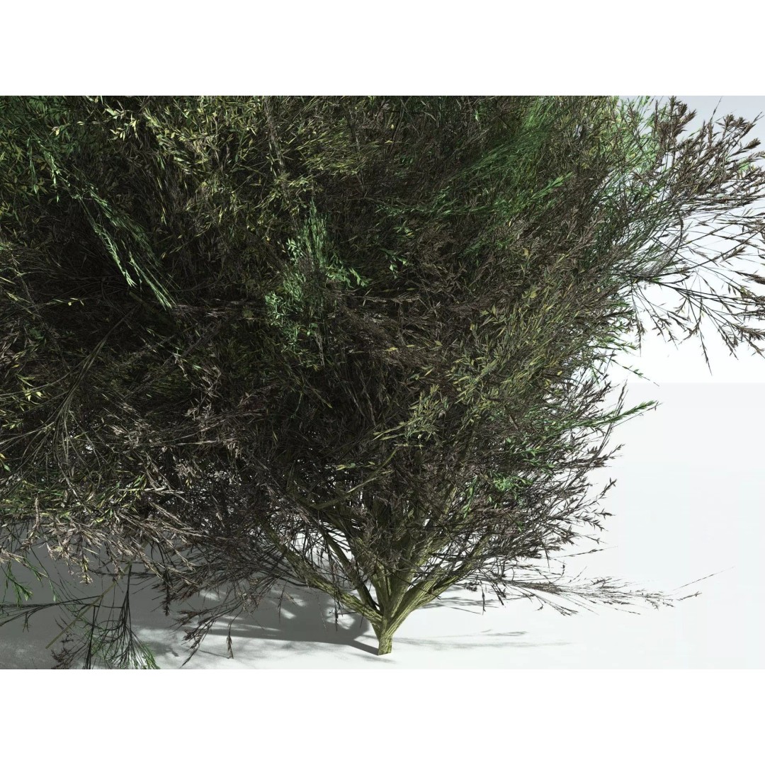 Green Rabbitbrush 3D Model – Low Poly Plant Asset, FBX, PBR - View 21