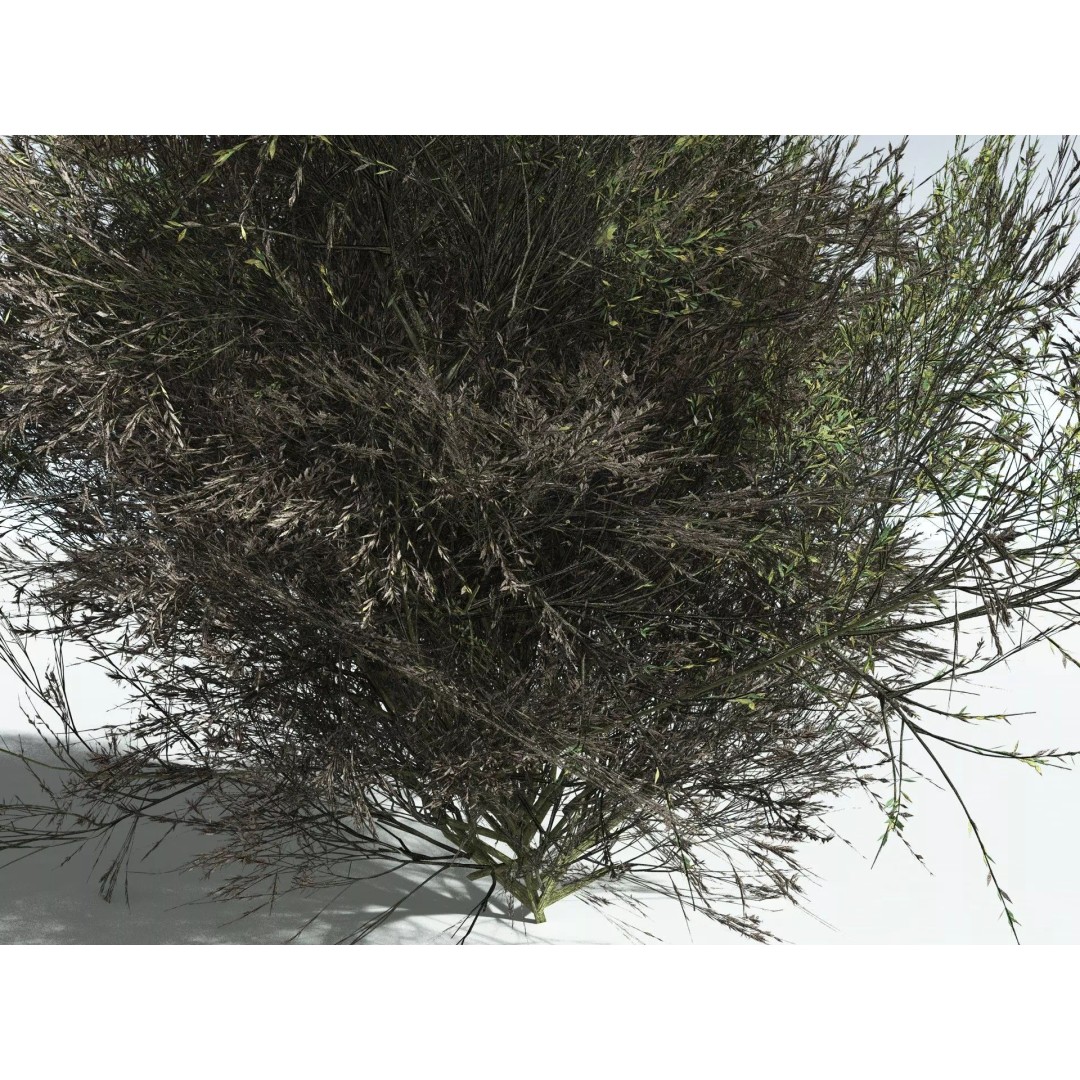 Green Rabbitbrush 3D Model – Low Poly Plant Asset, FBX, PBR - View 23