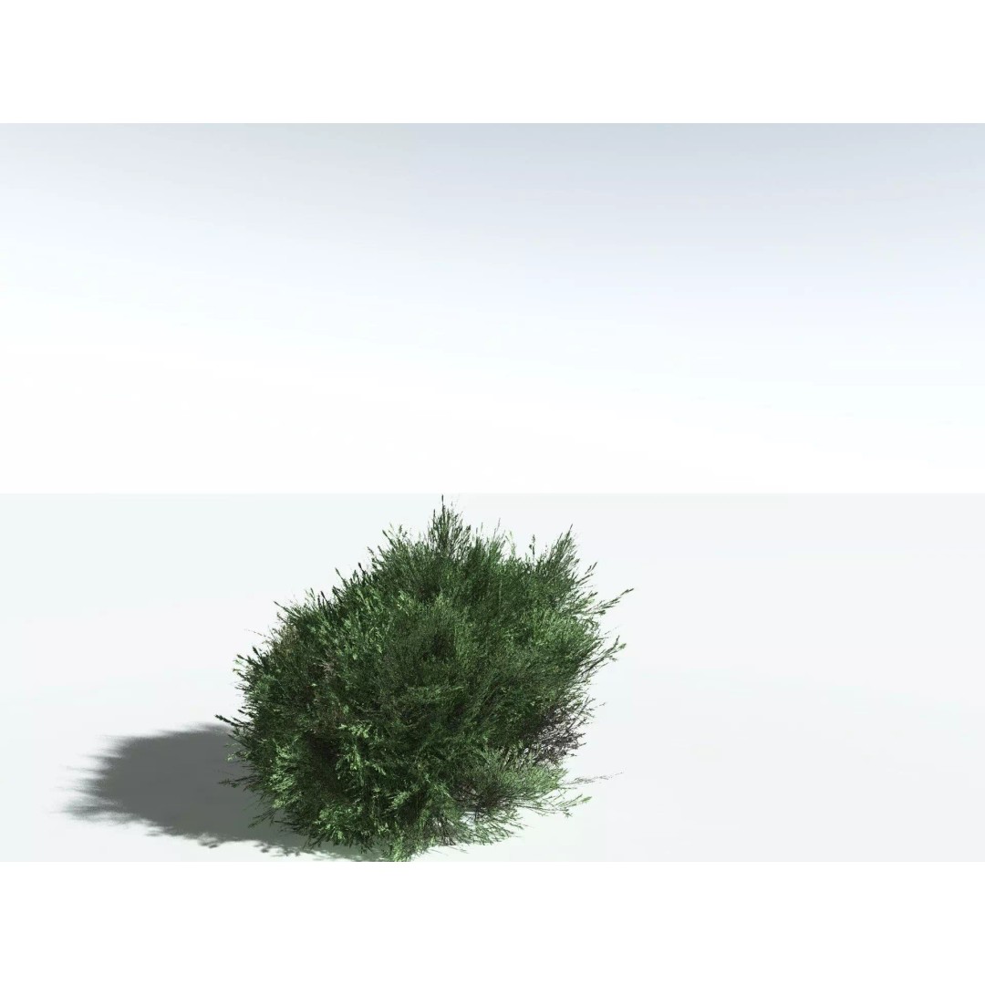 Green Rabbitbrush 3D Model – Low Poly Plant Asset, FBX, PBR - View 30