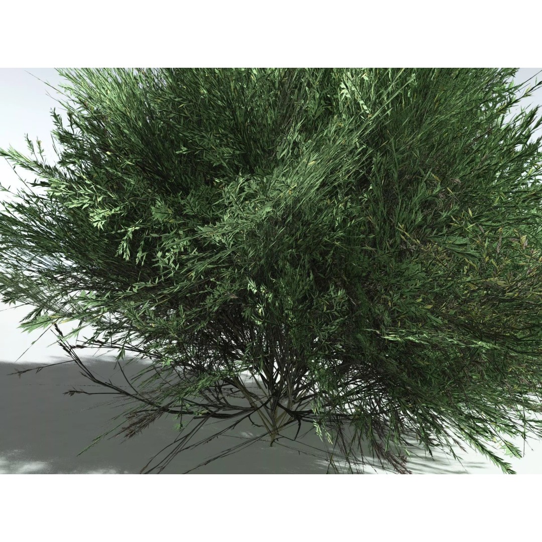 Green Rabbitbrush 3D Model – Low Poly Plant Asset, FBX, PBR - View 33