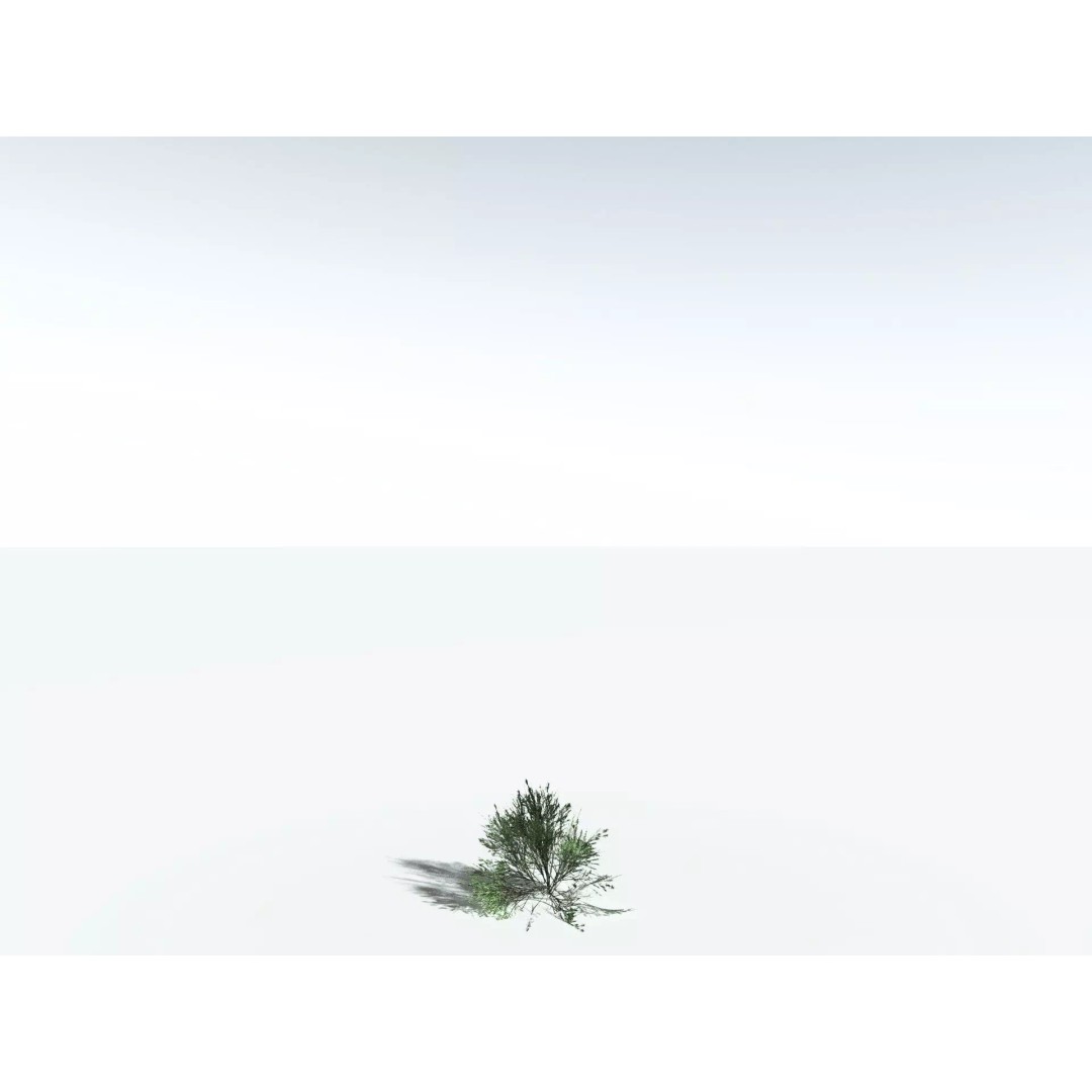 Green Rabbitbrush 3D Model – Low Poly Plant Asset, FBX, PBR - View 36