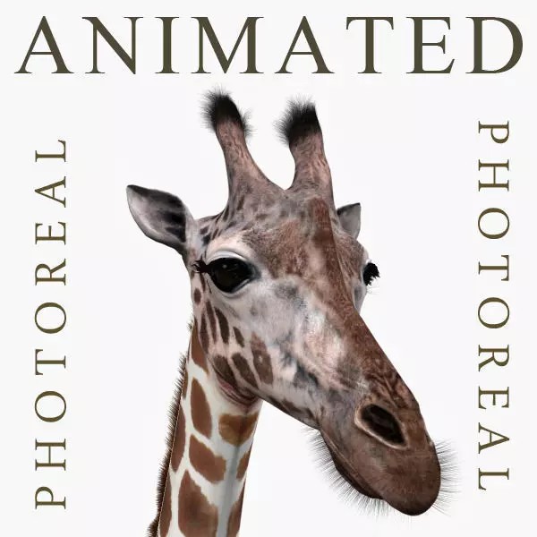 Photoreal Giraffe 3D Model – Rigged Animation with Textures, FBX & OBJ - View 2