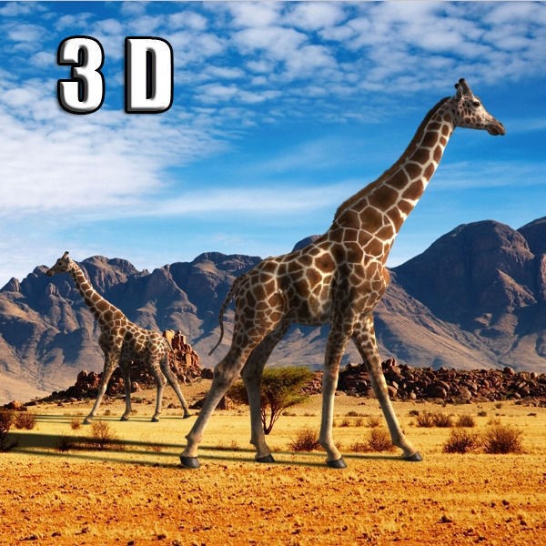 Photoreal Giraffe 3D Model – Rigged Animation with Textures, FBX & OBJ - View 23