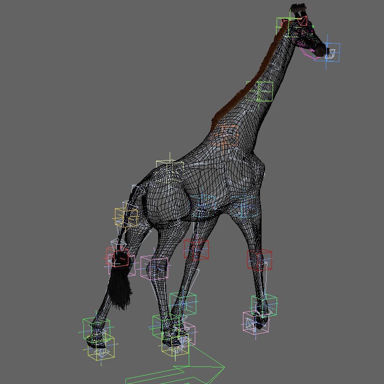 Photoreal Giraffe 3D Model – Rigged Animation with Textures, FBX & OBJ - View 26