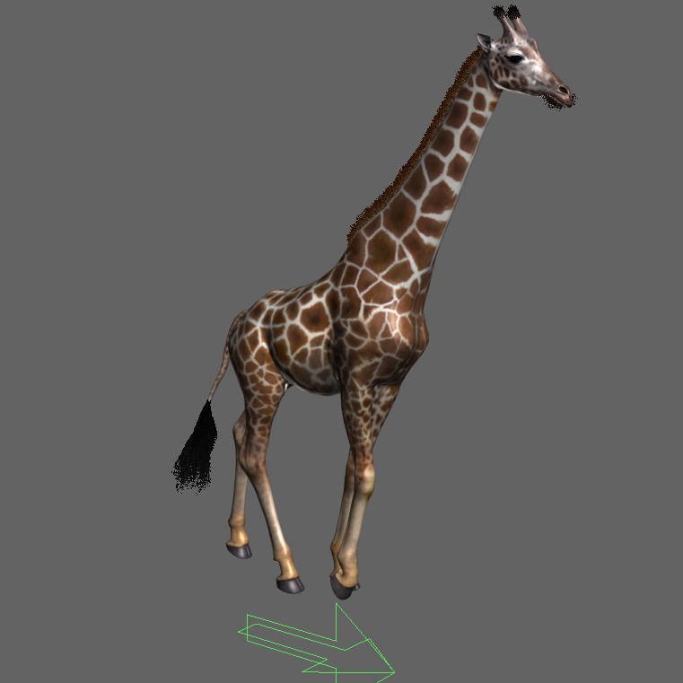 Photoreal Giraffe 3D Model – Rigged Animation with Textures, FBX & OBJ - View 27