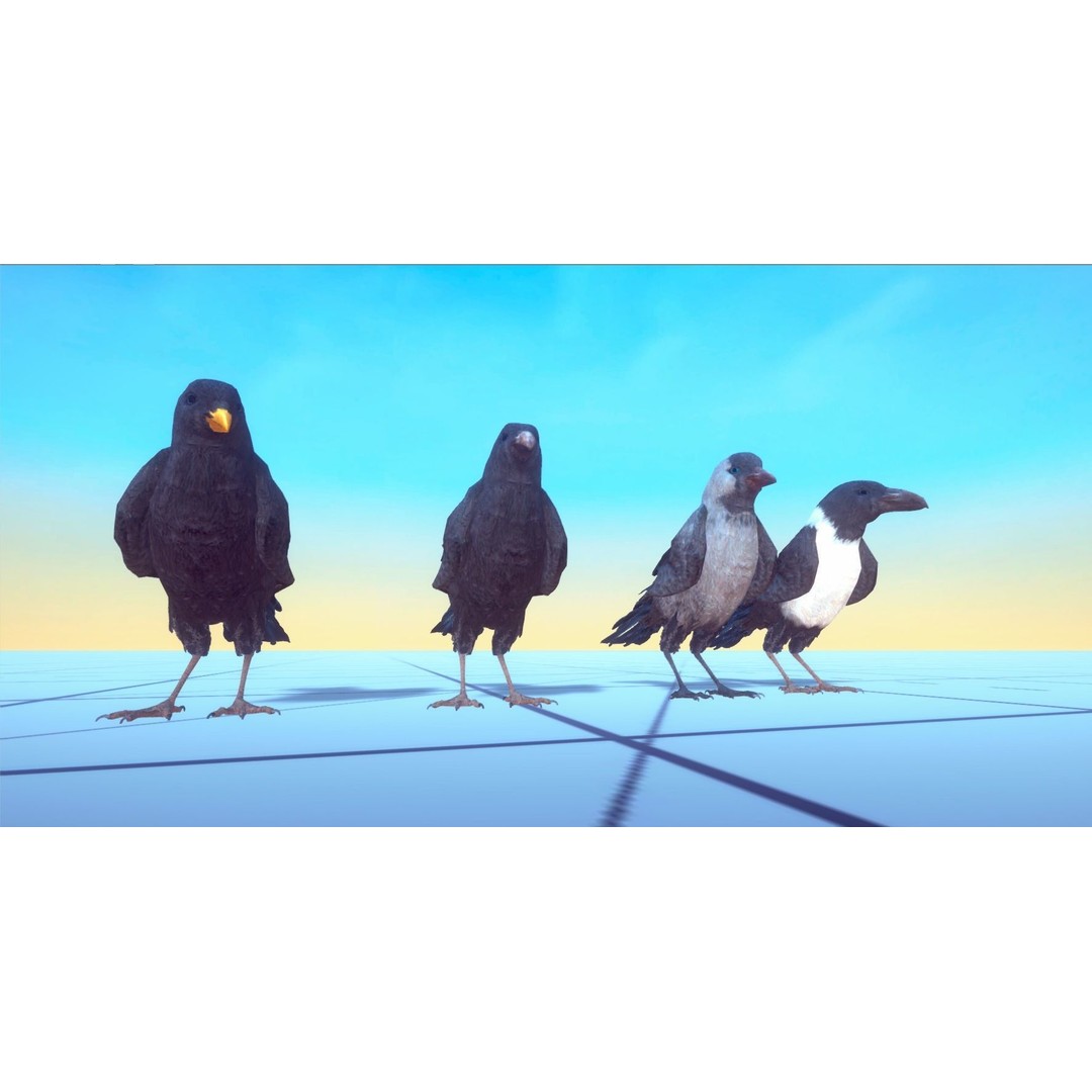 Ravens and Crows 3D Model – Low Poly Rigged Animated Asset, FBX