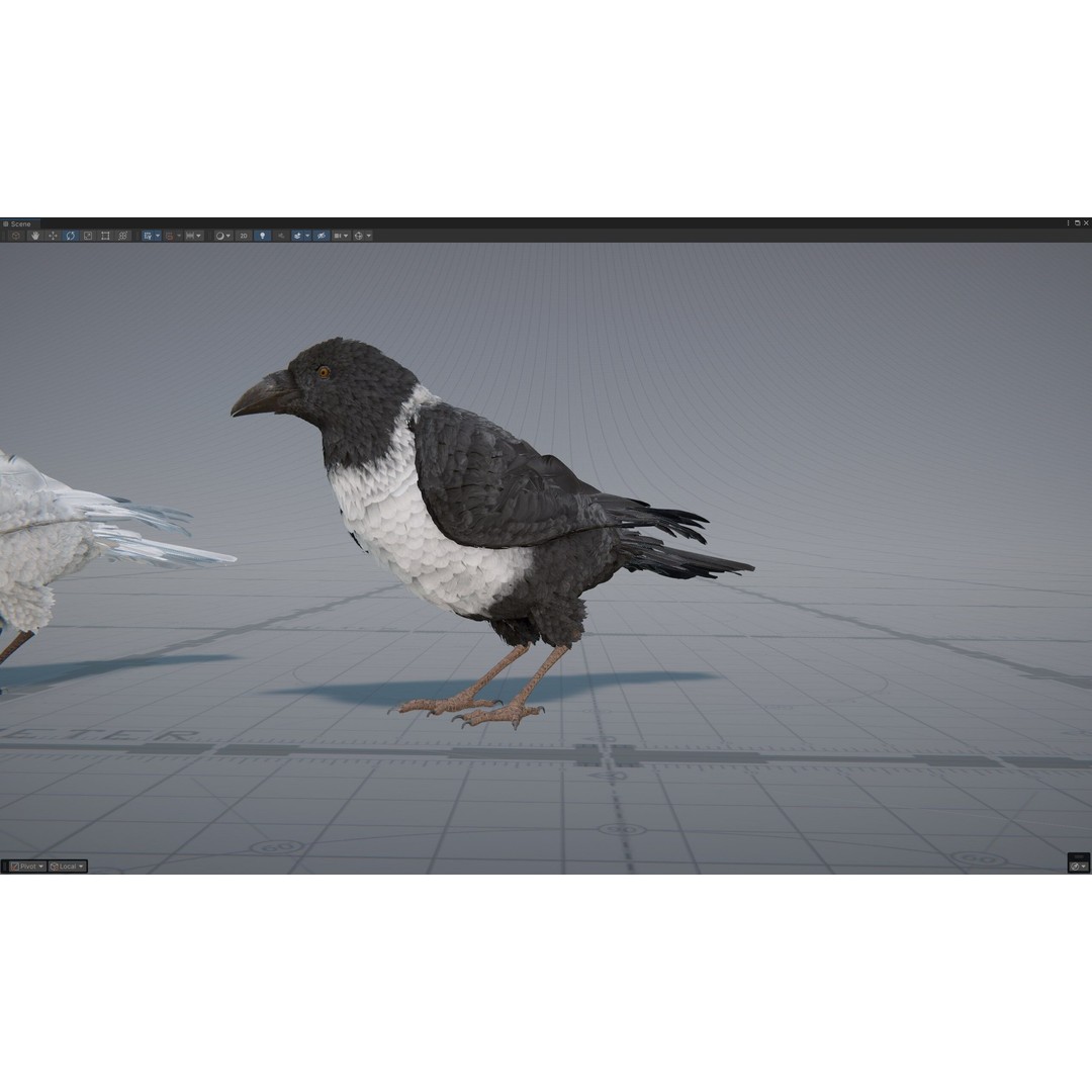 Ravens and Crows 3D Model – Low Poly Rigged Animated Asset, FBX - View 11