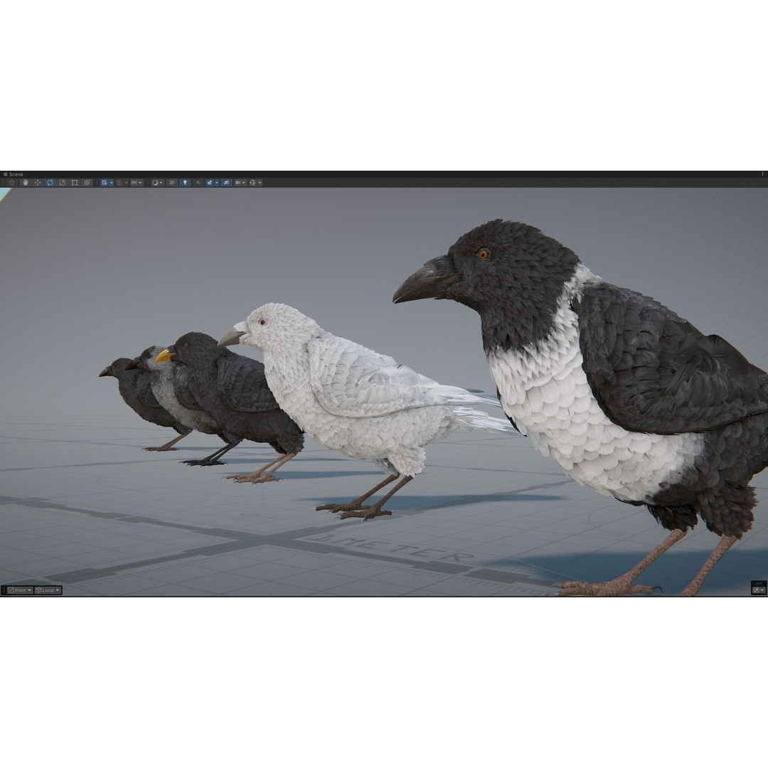 Ravens and Crows 3D Model – Low Poly Rigged Animated Asset, FBX - View 12
