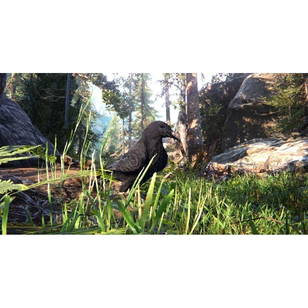 Ravens and Crows 3D Model – Low Poly Rigged Animated Asset, FBX - View 16