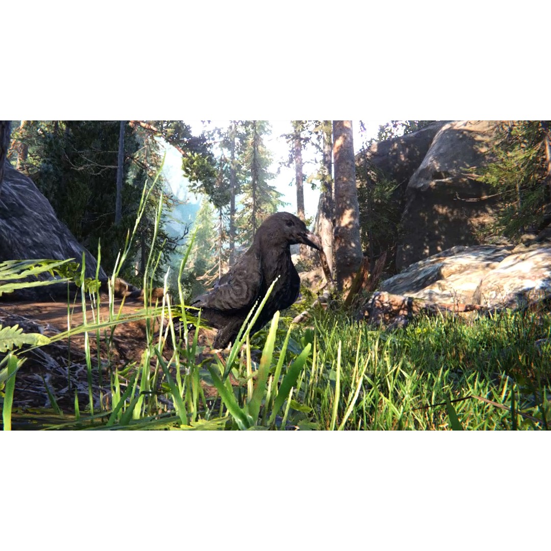 Ravens and Crows 3D Model – Low Poly Rigged Animated Asset, FBX - View 19