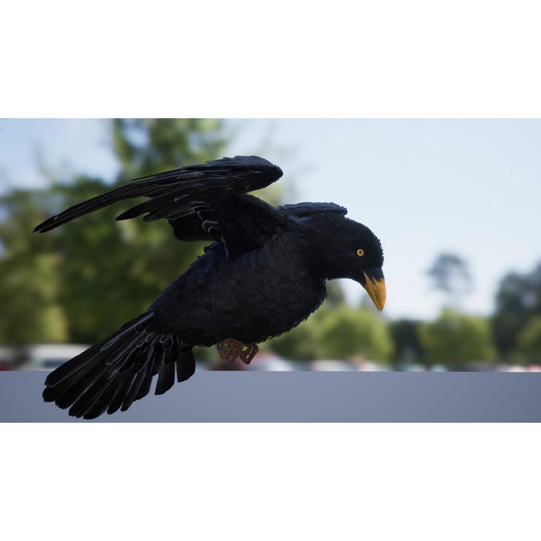 Ravens and Crows 3D Model – Low Poly Rigged Animated Asset, FBX - View 5