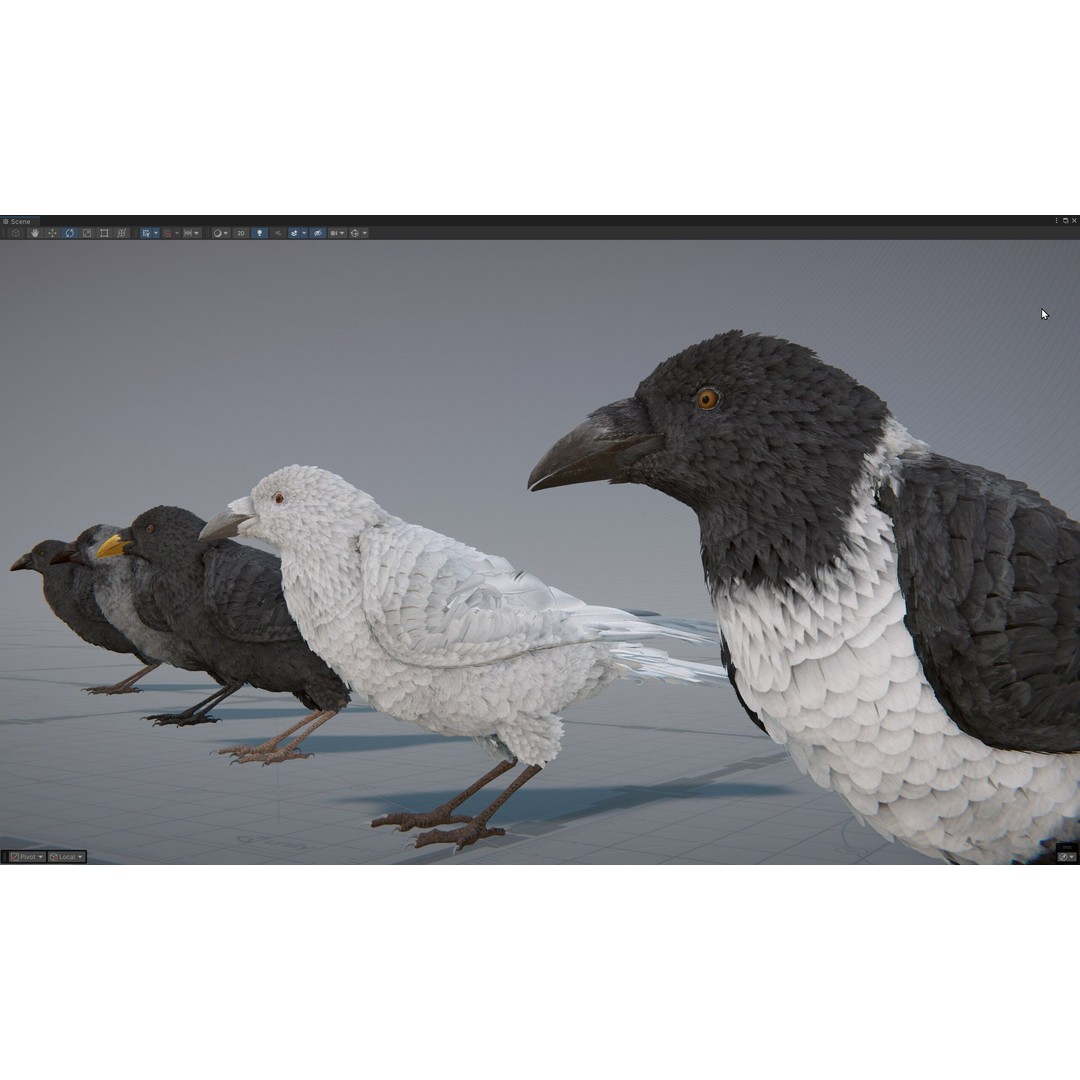 Ravens and Crows 3D Model – Low Poly Rigged Animated Asset, FBX - View 6