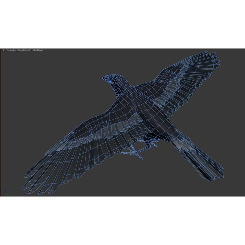 Ravens and Crows 3D Model – Low Poly Rigged Animated Asset, FBX - View 8