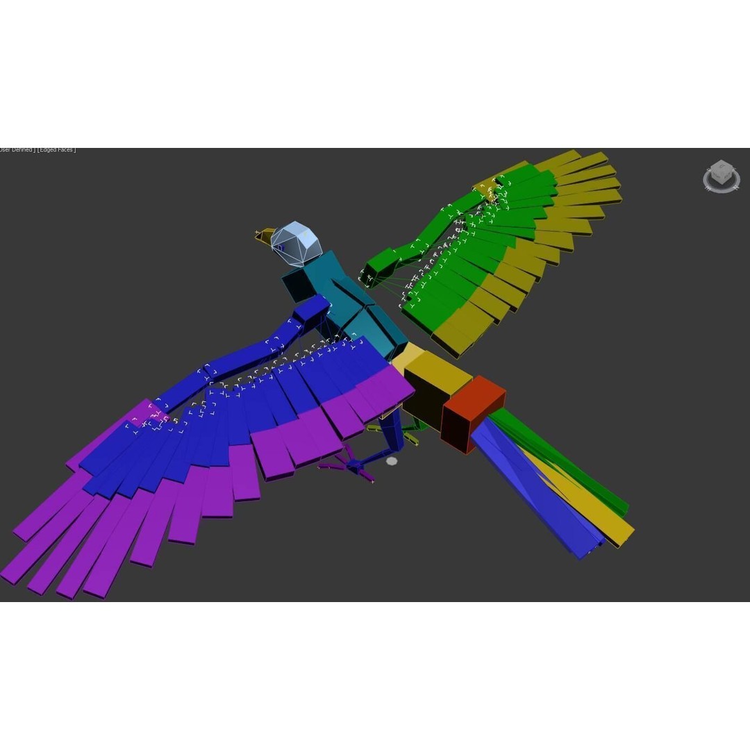 Ravens and Crows 3D Model – Low Poly Rigged Animated Asset, FBX - View 9