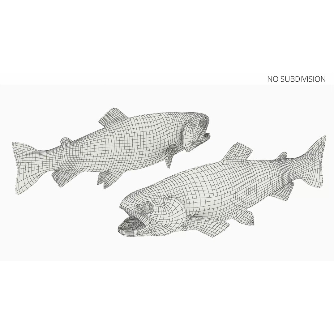 Brown Trout Fish 3D Model – Rigged PBR Asset for Animation - View 11