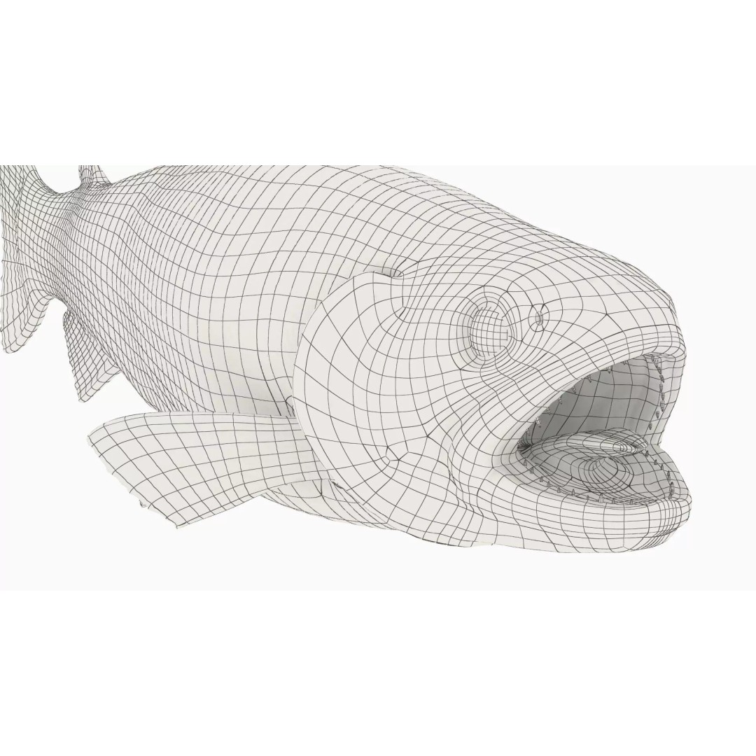 Brown Trout Fish 3D Model – Rigged PBR Asset for Animation - View 12