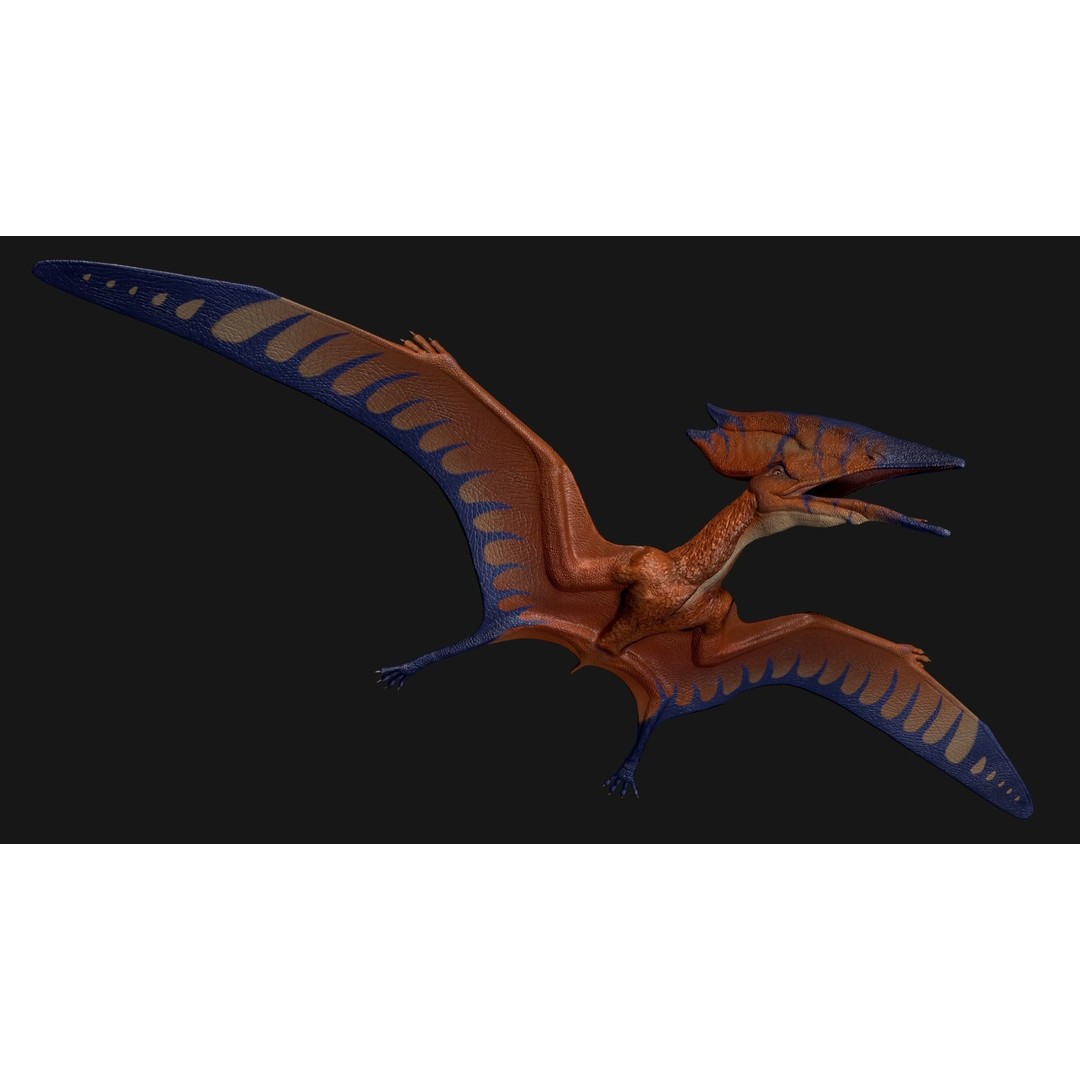 Thalassodromeus 3D Model – Low Poly Dinosaur Asset, FBX - View 5