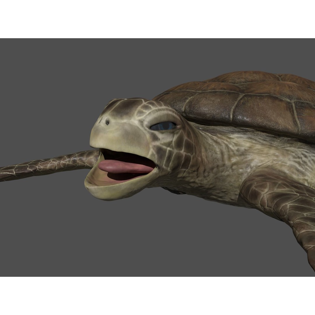 Turtle 3D Model – Low Poly Rigged PBR Asset for Games - View 27