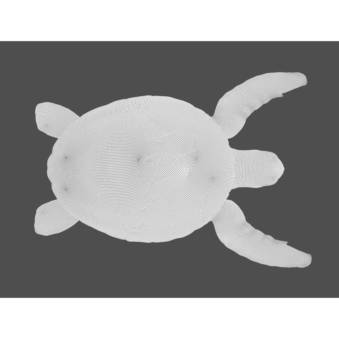 Turtle 3D Model – Low Poly Rigged PBR Asset for Games - View 30