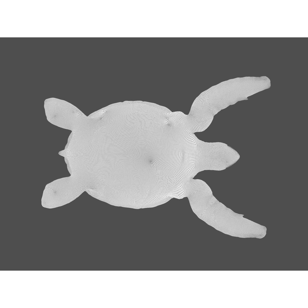 Turtle 3D Model – Low Poly Rigged PBR Asset for Games - View 31