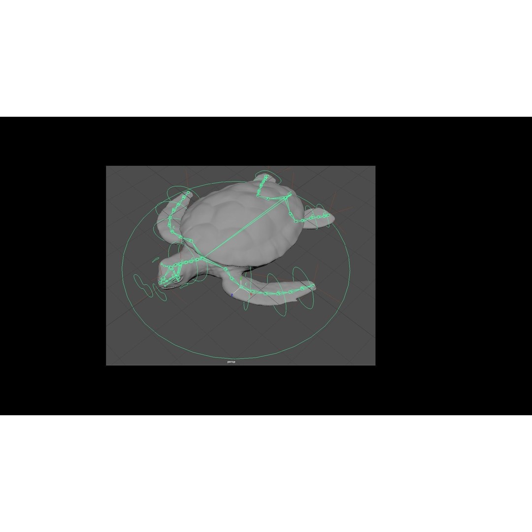 Turtle 3D Model – Low Poly Rigged PBR Asset for Games - View 32