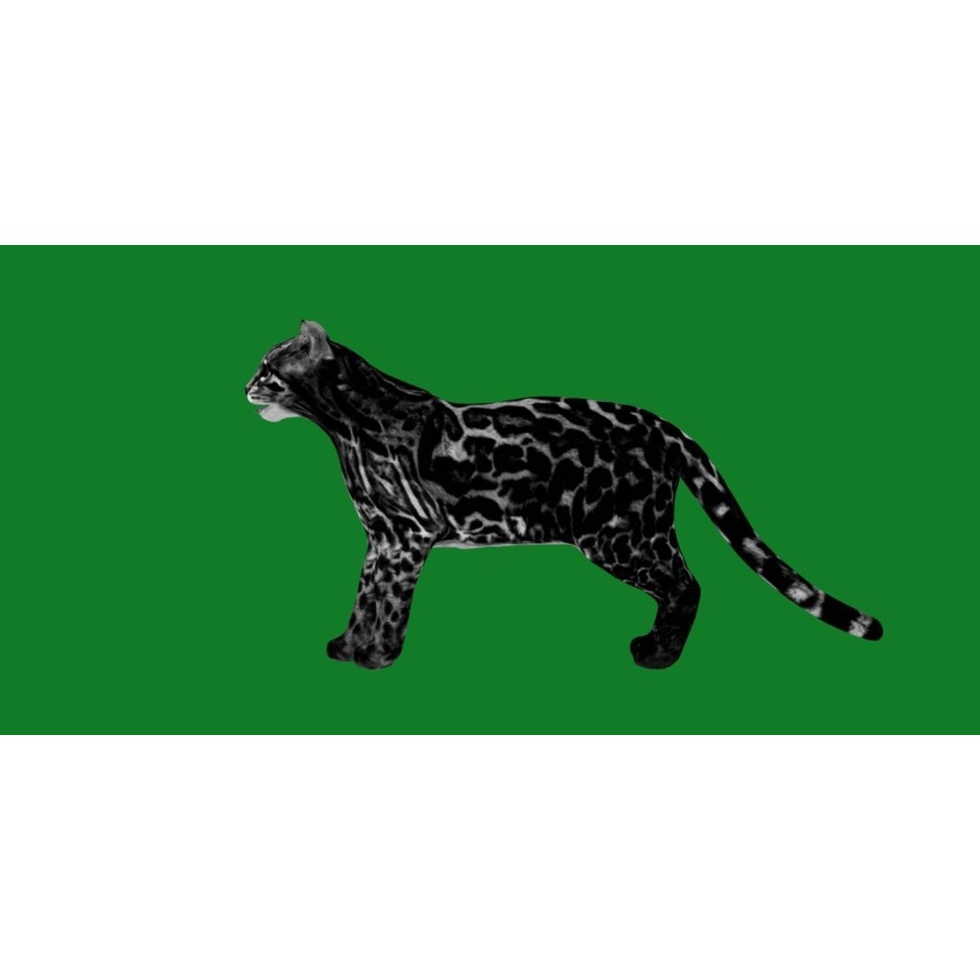 American Margay Cat 3D Model – Low Poly Game Ready with PBR Textures - View 11