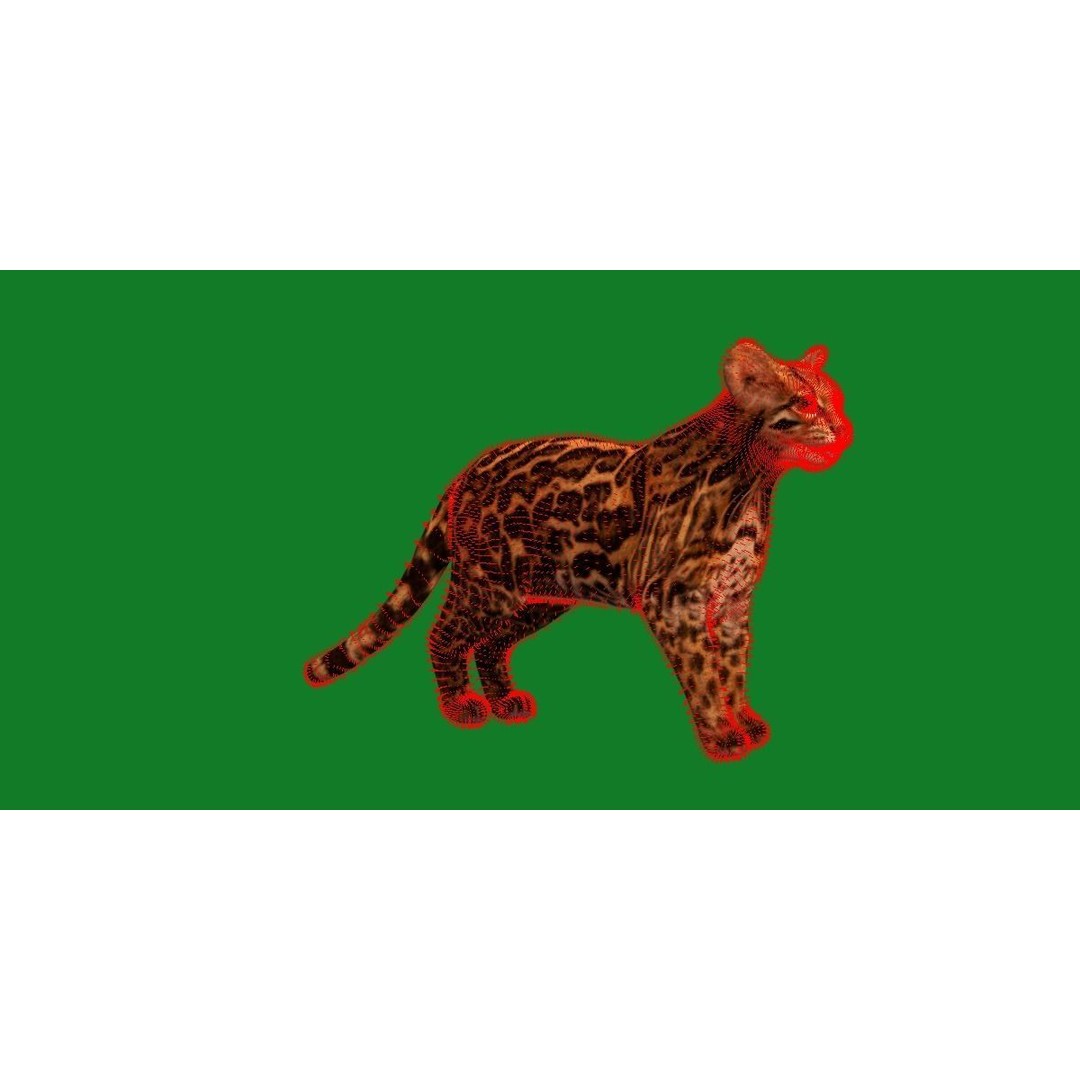 American Margay Cat 3D Model – Low Poly Game Ready with PBR Textures - View 16