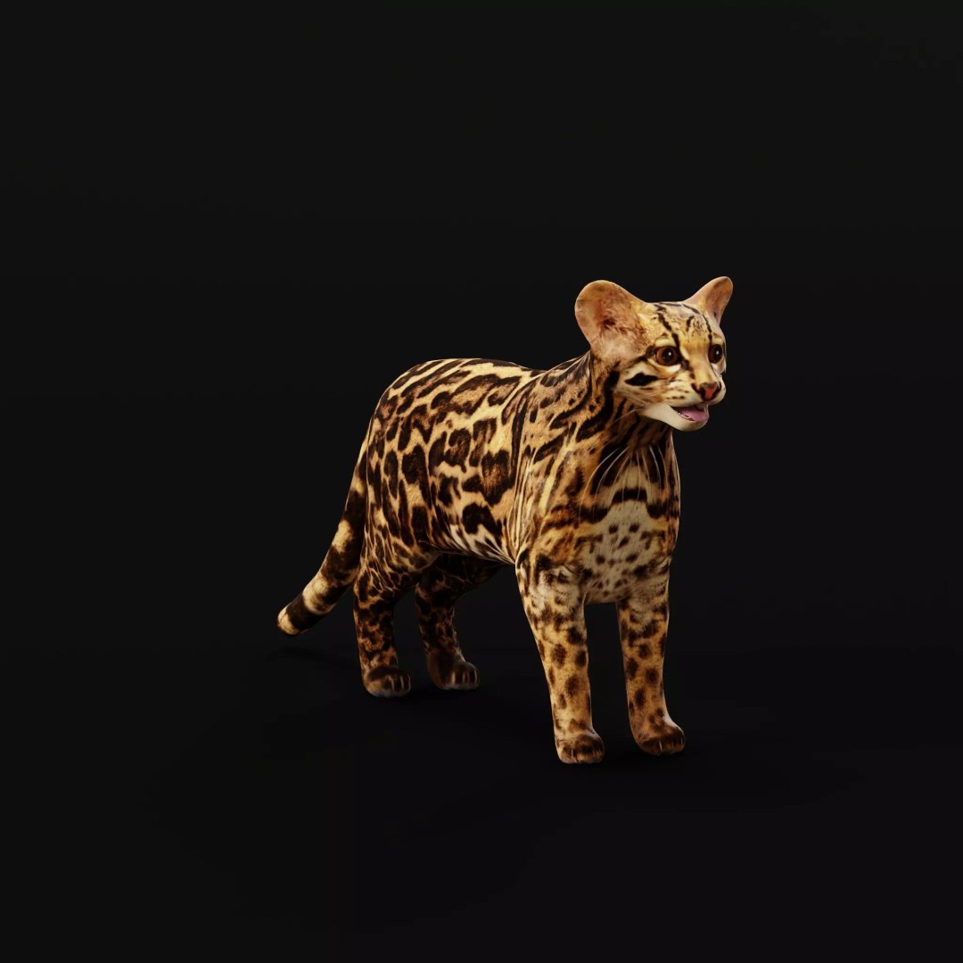 American Margay Cat 3D Model – Low Poly Game Ready with PBR Textures - View 2