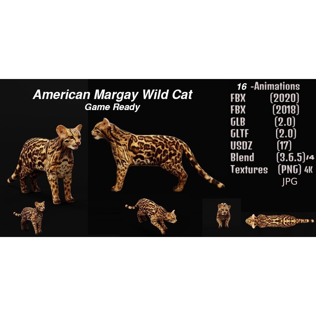 American Margay Cat 3D Model – Low Poly Game Ready with PBR Textures - View 3