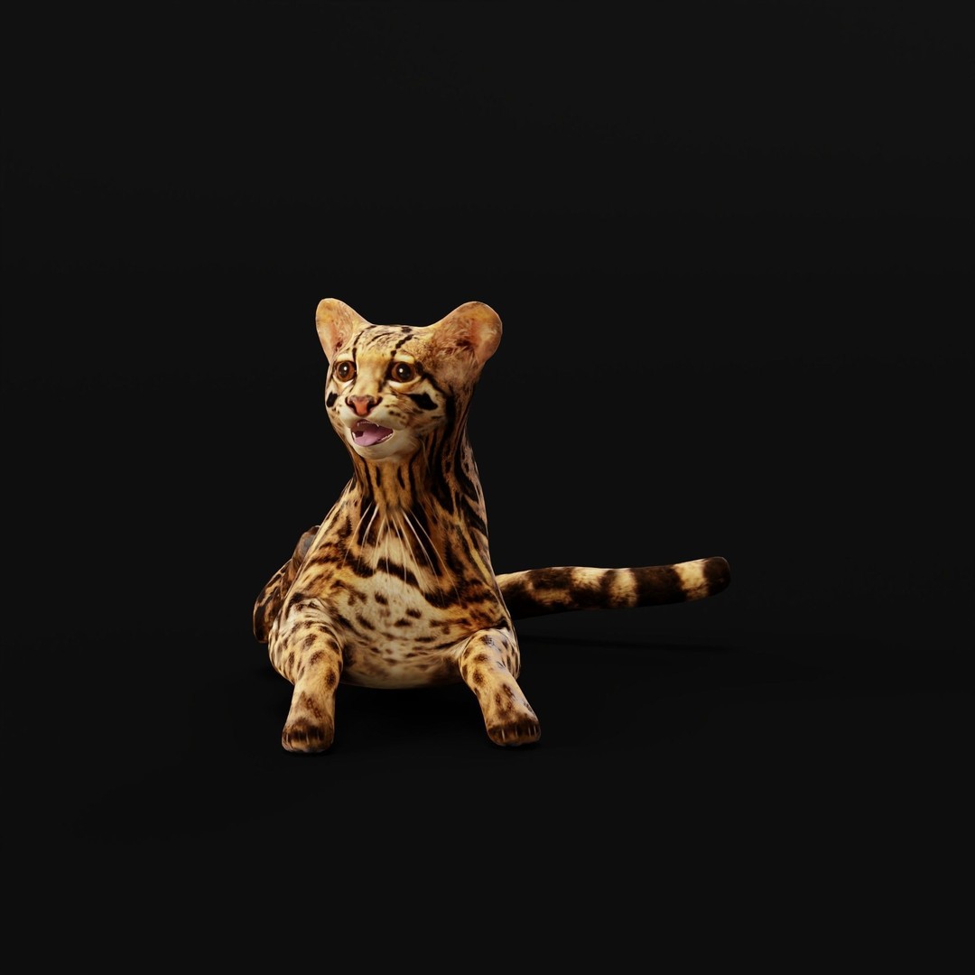 American Margay Cat 3D Model – Low Poly Game Ready with PBR Textures - View 38