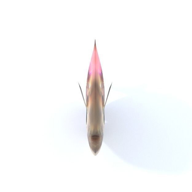 Crystal Catfish 3D Model – Low Poly Game Asset, FBX, PBR Textures - View 5