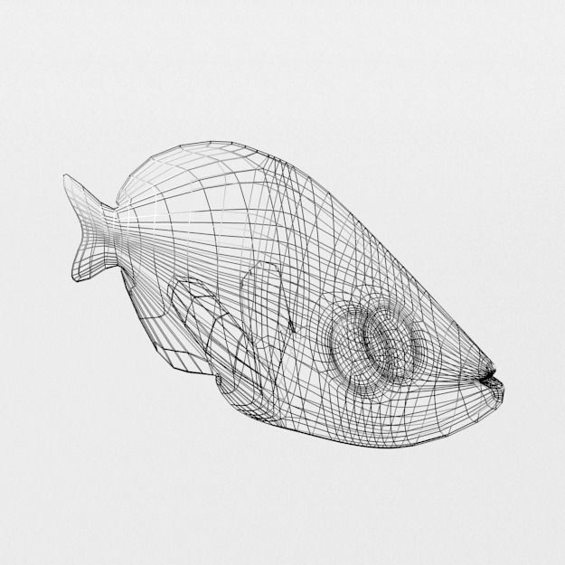 Crystal Catfish 3D Model – Low Poly Game Asset, FBX, PBR Textures - View 8