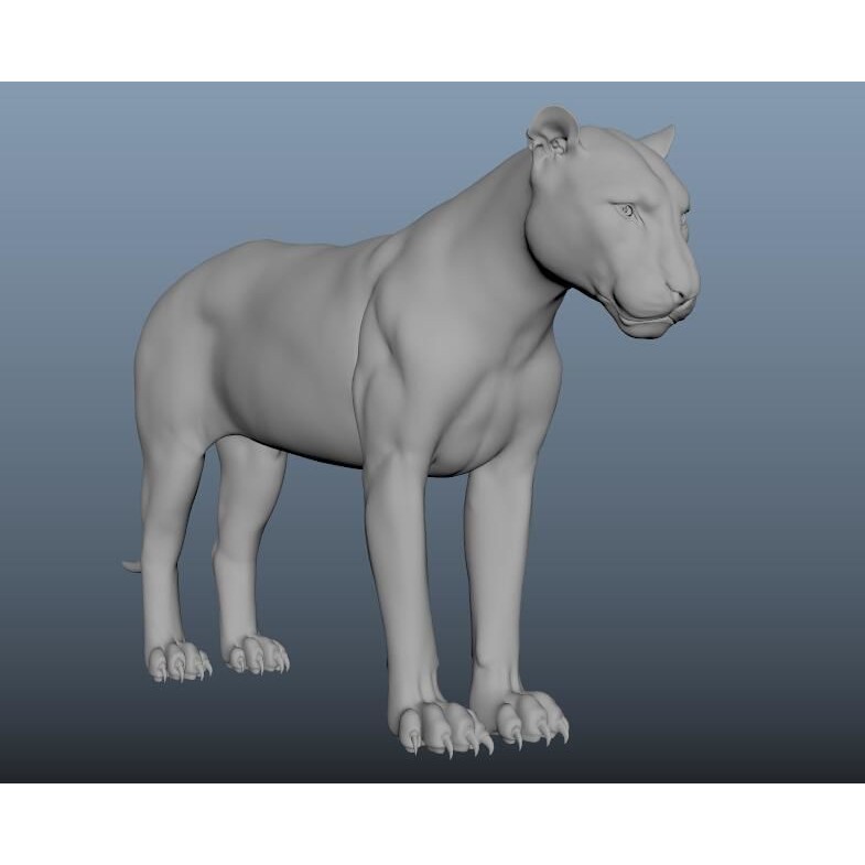 Tiger 3D Model – Rigged High Poly Character with Textures, FBX