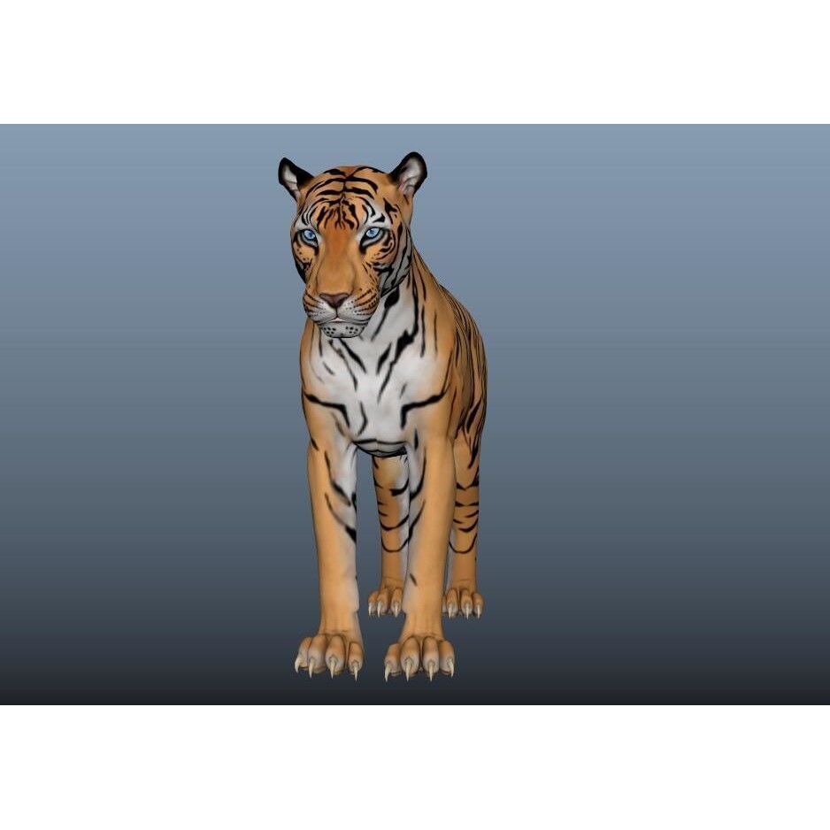 Tiger 3D Model – Rigged High Poly Character with Textures, FBX - View 11