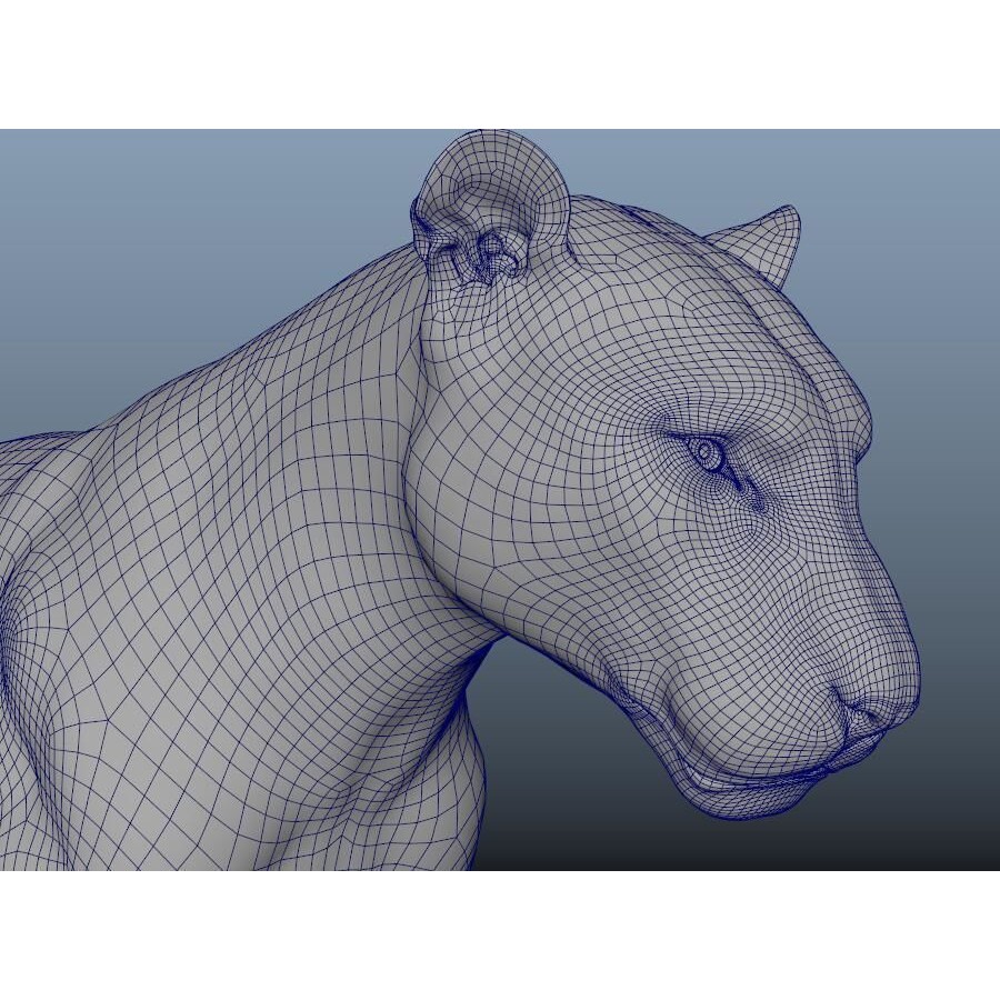 Tiger 3D Model – Rigged High Poly Character with Textures, FBX - View 12