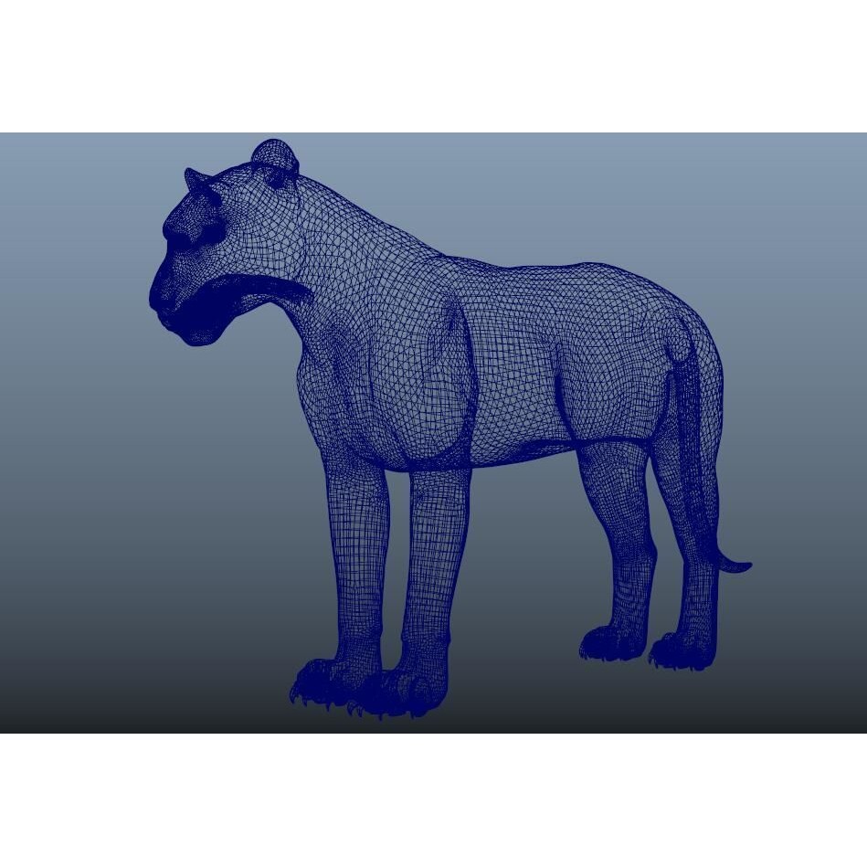 Tiger 3D Model – Rigged High Poly Character with Textures, FBX - View 13