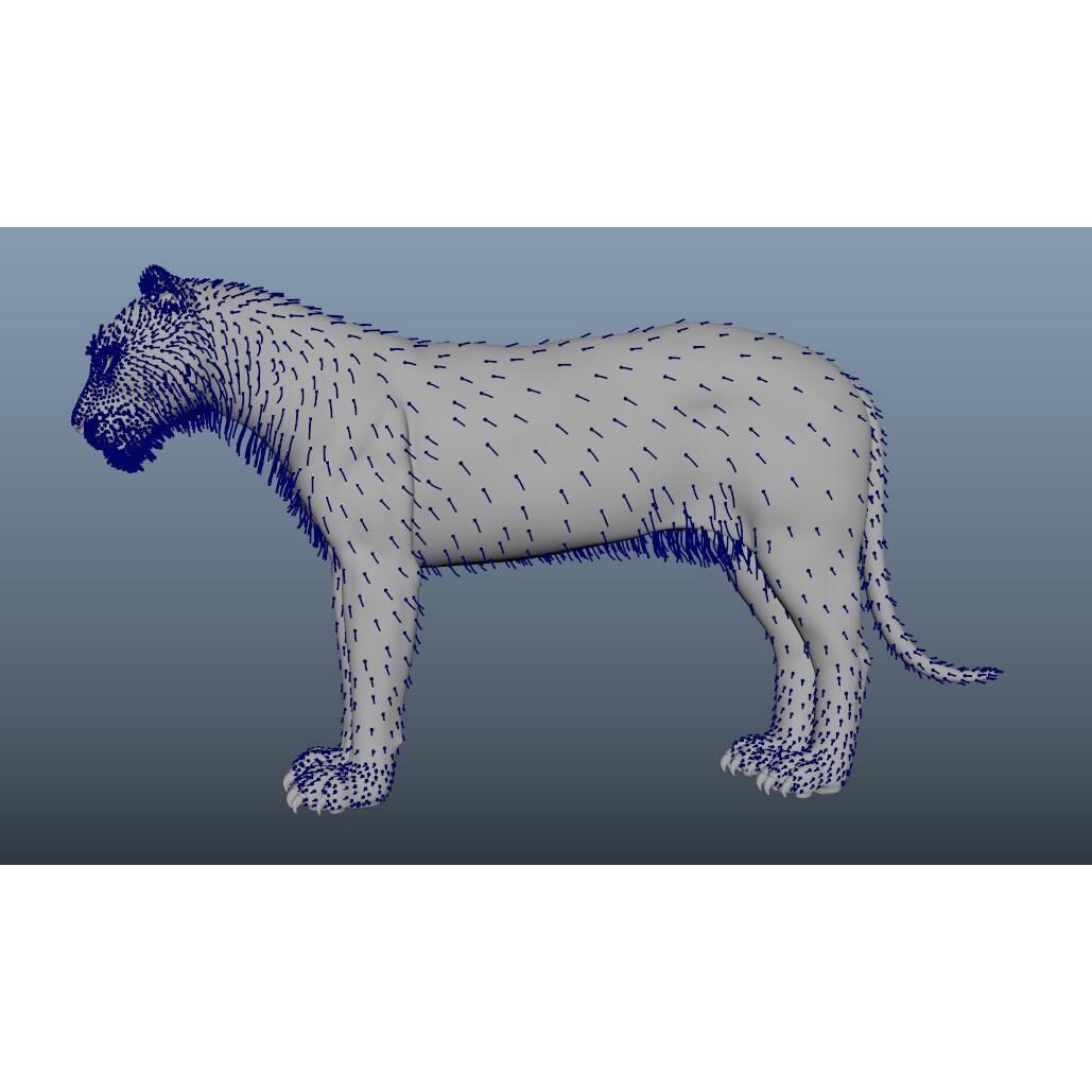 Tiger 3D Model – Rigged High Poly Character with Textures, FBX - View 14