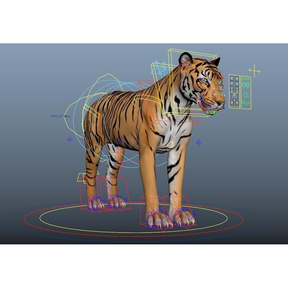 Tiger 3D Model – Rigged High Poly Character with Textures, FBX - View 8