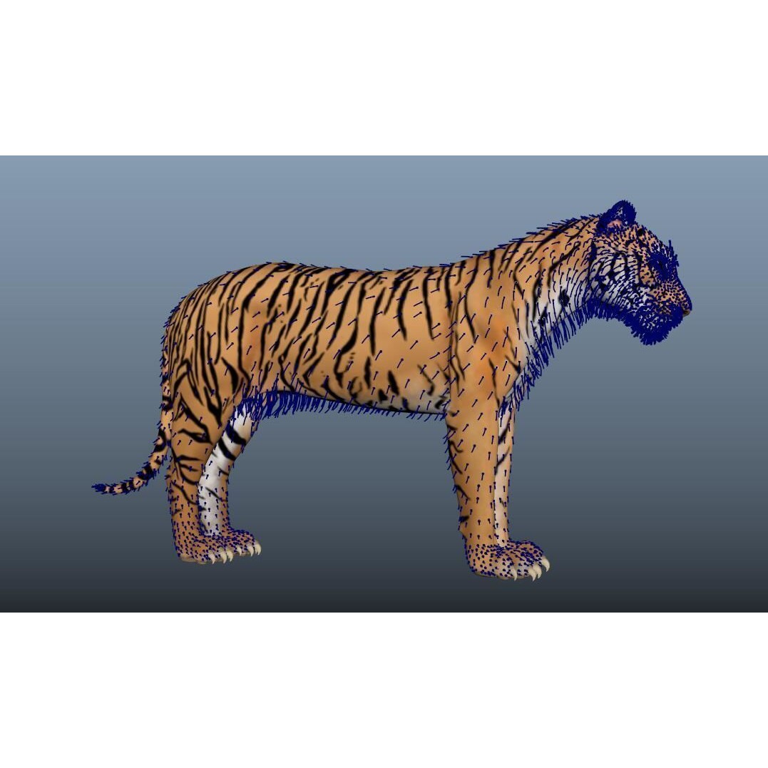 Tiger 3D Model – Rigged High Poly Character with Textures, FBX - View 9