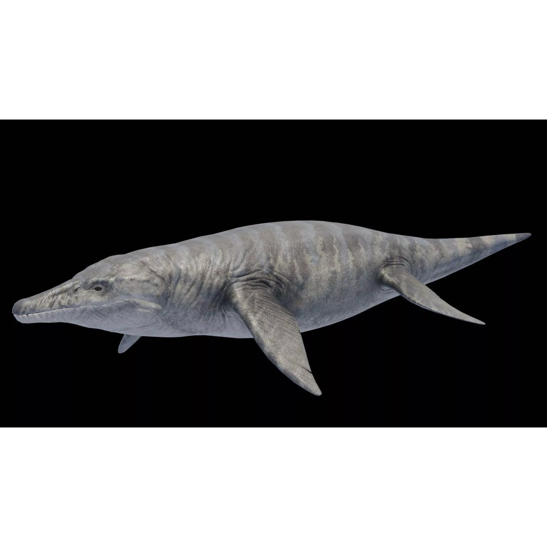 Kronosaurus 3D Model – Low Poly Animated Asset Pack, FBX, PBR